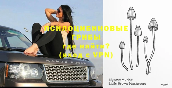 дурь Богданович