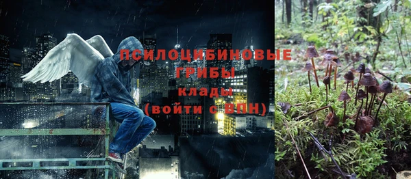 дурь Богданович