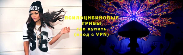 шишки Покровск