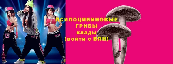 дурь Богданович