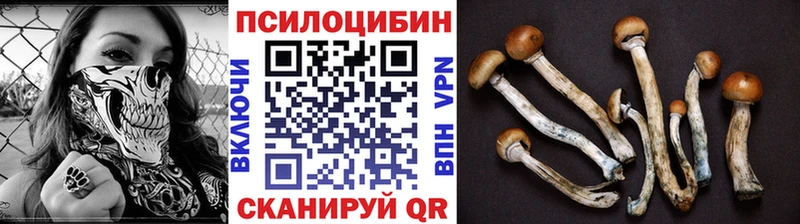 Псилоцибиновые грибы мухоморы Полесск