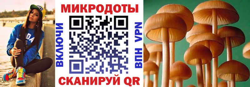 Галлюциногенные грибы прущие грибы  Полесск 